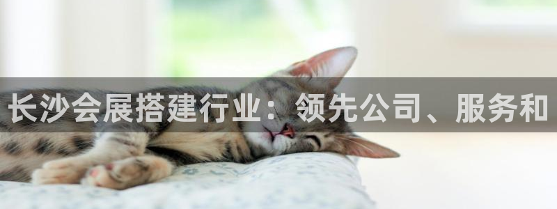 果博注册充值怎么退款：长沙会展搭建行业：领先公司、服务和