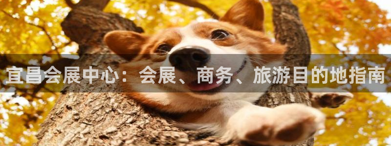 果博平台开户电话是多少：宜昌会展中心：会展、商务、旅游目的地指南
