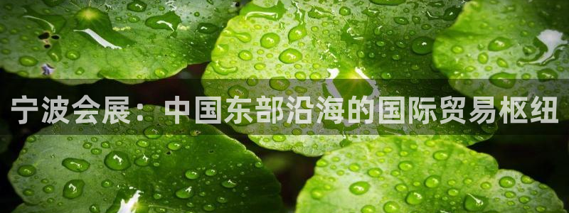 果博gbe168：宁波会展：中国东部沿海的国际贸易