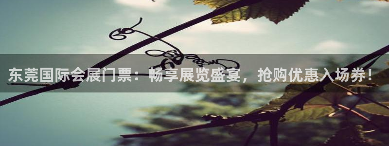 果博网站二维码：东莞国际会展门票：畅享展览盛宴，抢购优惠入场券！