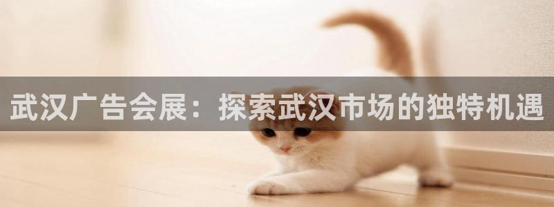 果搏代理：武汉广告会展：探索武汉市场的独特机遇