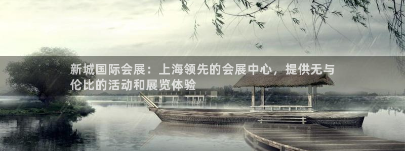 果博注册平台怎么注册不了：新城国际会展：