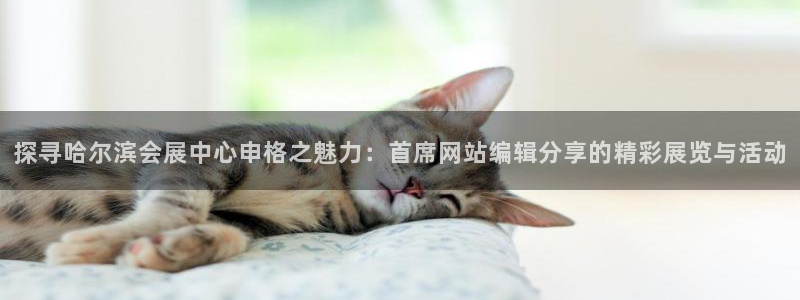 果博客服联系电话：探寻哈尔滨会展中心申格