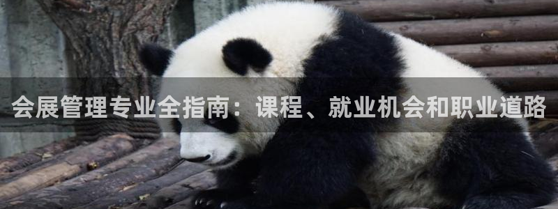 果博公司电话