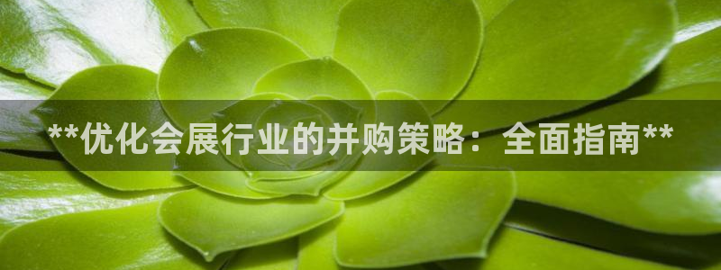 果博官网客服：**优化会展行业的并购策略