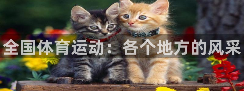 三亿体育网