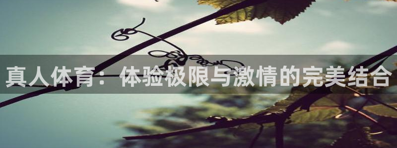 三亿体育