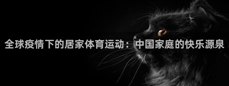 三亿体育网页版